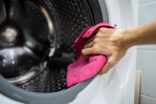 Best Mold Odor Removal Services  in Dresden, TN