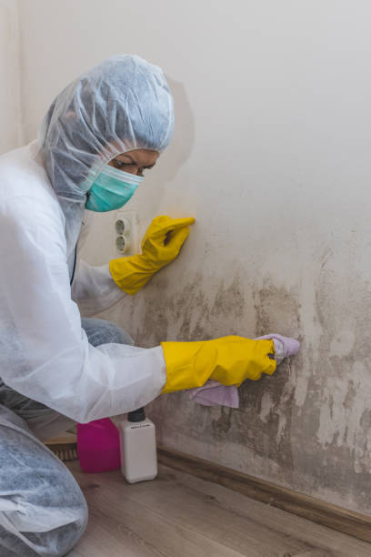 Best Airborne Mold Testing  in Dresden, TN