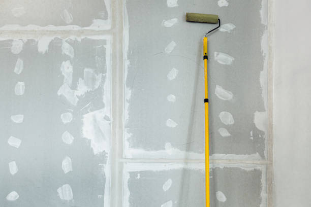 Best Water Damage & Mold Remediation  in Dresden, TN