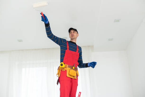Best Basement Mold Removal  in Dresden, TN