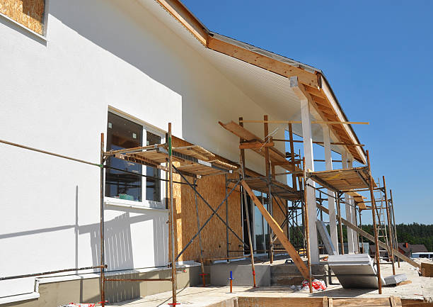 Best Mold Documentation for Insurance Claims  in Dresden, TN
