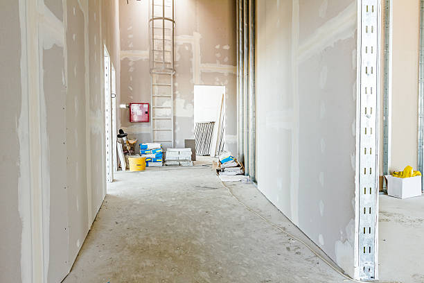 Best Mold Removal for HVAC Installations  in Dresden, TN