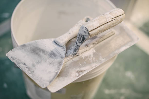 Best Mold-Related Health Consultation  in Dresden, TN
