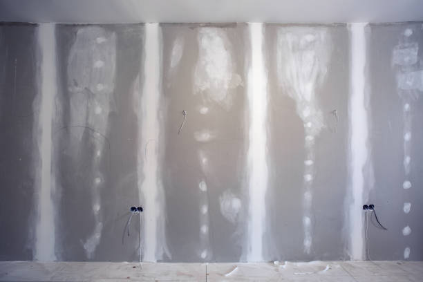 Best Real Estate Mold Inspection  in Dresden, TN